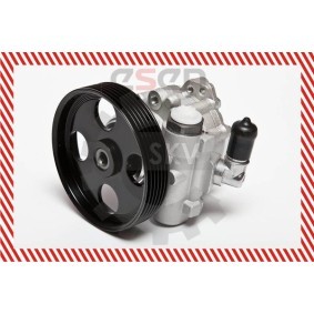 Compre Bomba de direção da ESEN SKV 10SKV004 a um preço baixo por 125,94 €