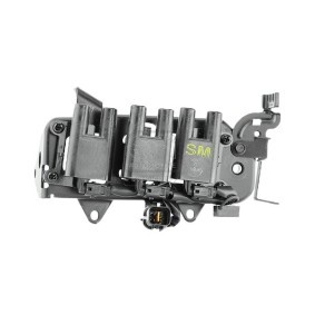 Acquista Bobina d'accensione da EFI AUTOMOTIVE 155157 a buon mercato per soli 132,29 €