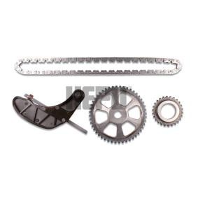 Kettensatz, Ölpumpenantrieb 21-0379 von HEPU günstig für 104,71 € online kaufen