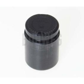 Compre Êmbolo, pinça do travão de BUDWEG CALIPER online para Golf VIII Hatchback (CD1) a preços moderados