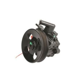 Servopumpe 55.2912 von LAUBER günstig für 155,70 € online kaufen