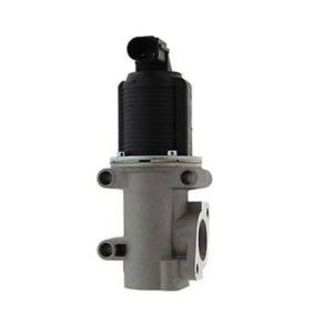 Acquista Valvola EGR da MAGNETI MARELLI 571822112006 a buon mercato per soli 78,34 €