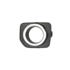 Lüftungsgitter, Stoßfänger 6502-07-6490913P von BLIC günstig für 68,27 € online kaufen