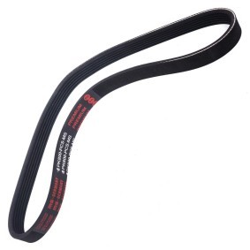 Achetez des Courroie Poly-V MASTER-SPORT 6PK800-PCS-MS à prix pour 8,96 €