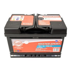 Batterie 780727002 von MASTER-SPORT günstig für 100,38 € online kaufen