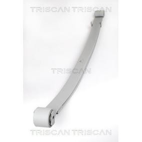 Federpaket für CITROËN von TRISCAN