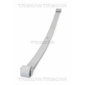 Federpaket für CITROËN von TRISCAN
