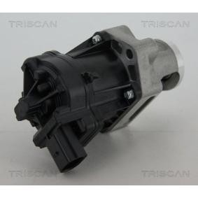 Acquista Valvola EGR da TRISCAN 8813 10006 a buon mercato per soli 302,22 €
