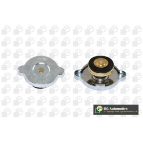 Achetez des Bouchon de liquide de refroidissement BGA CC3046 à prix pour 5,15 €