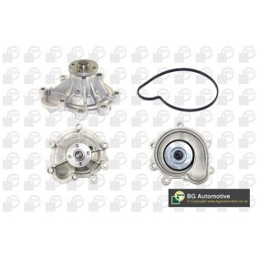 Wasserpumpe CP7136T von BGA günstig für 105,00 € online kaufen