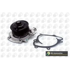 Wasserpumpe CP7318T von BGA günstig für 29,73 € online kaufen