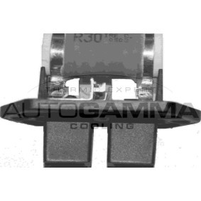 Comprar Resistencia en serie, electromotor de ventilador de AUTOGAMMA GA15506 a bajo precio de 10,97 €