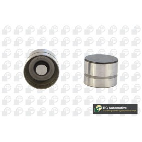 Achetez des Poussoir hydraulique BGA HL5317 à prix pour 13,45 €