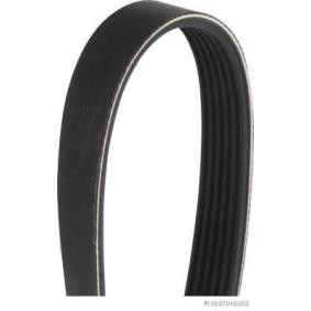 Acquista Cinghia servizi da HERTH+BUSS JAKOPARTS J1061320 a buon mercato per soli 5,49 €