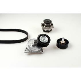 Wasserpumpe + Keilrippenriemensatz K980731A von GK günstig für 157,23 € online kaufen