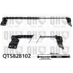 Heckklappendämpfer QTS828102 von QUINTON HAZELL günstig für 19,61 € online kaufen
