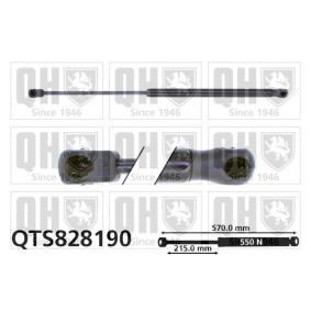 Heckklappendämpfer QTS828190 von QUINTON HAZELL günstig für 20,94 € online kaufen