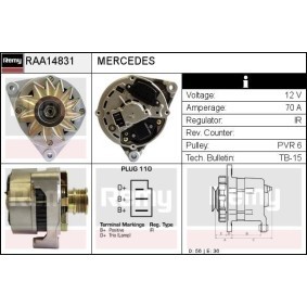 Lichtmaschine RAA14831 von DELCO REMY günstig für 117,58 € online kaufen
