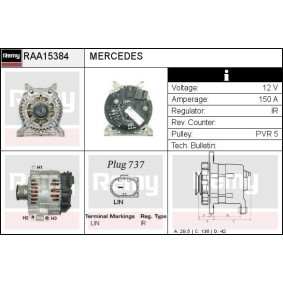 Lichtmaschine RAA15384 von DELCO REMY günstig für 233,26 € online kaufen