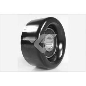 Umlenk- / Führungsrolle, Keilrippenriemen T0495 von HUTCHINSON günstig für 35,78 € online kaufen