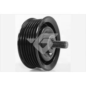 Umlenk- / Führungsrolle, Keilrippenriemen T0506 von HUTCHINSON günstig für 44,80 € online kaufen