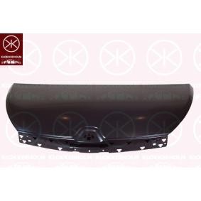 Motorhaube für RENAULT von KLOKKERHOLM