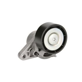 Spannrolle, Keilrippenriemen E3R0001BTA von BTA günstig für 77,87 € online kaufen