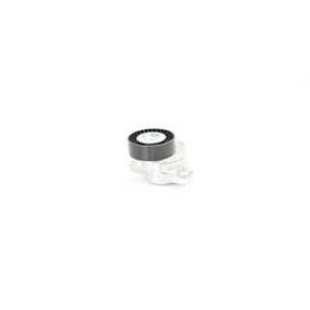 Acquista Tenditore cinghia servizi da BSG BSG 60-615-024 a buon mercato per soli 59,31 €