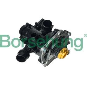 Köp Vattenpump av Borsehung B18971 till det låga priset 4201,74 kr
