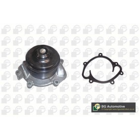 Wasserpumpe CP5602 von BGA günstig für 114,34 € online kaufen