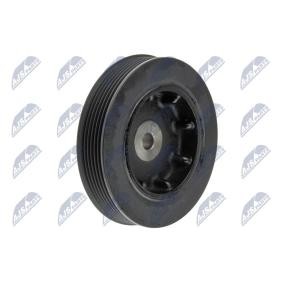 Comprar Polea de cigüeñal de NTY RKP-RE-001 a bajo precio de 40,03 €