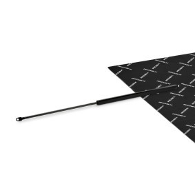 Comprar Amortiguador de maletero de RIDEX 219G0921 a bajo precio de 24,57 €