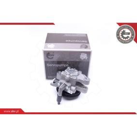Comprar Bomba de dirección de ESEN SKV 10SKV262 a bajo precio de 153,07 €