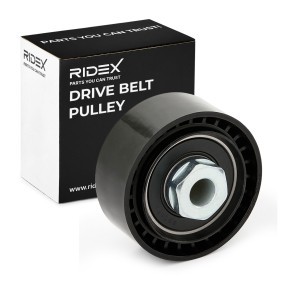 Spannrolle, Keilrippenriemen für DACIA von RIDEX