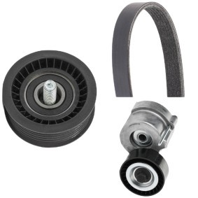 Compre Jogo de correias trapezoidais estriadas da RIDEX 542R0253 a um preço baixo por 59,40 €