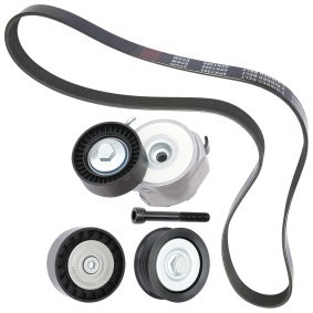 Compre Jogo de correias trapezoidais estriadas da RIDEX 542R0259 a um preço baixo por 70,04 €