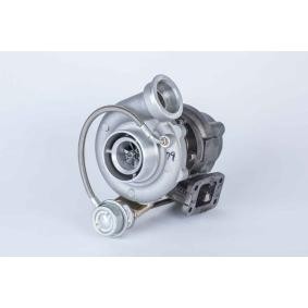Kjøp Turbolader av BorgWarner 319244 til den lave prisen 15826,95 NOK