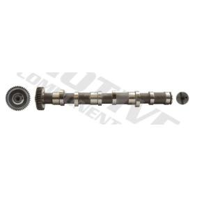Nockenwelle T073 von motive günstig für 193,81 € online kaufen