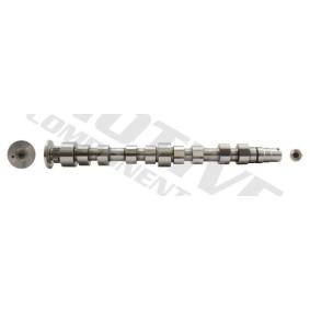 Nockenwelle T2176 von motive günstig für 119,22 € online kaufen