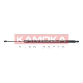 Acquista Bagagliaio da KAMOKA online per Scudo Van (270_, 272_) a prezzi moderati
