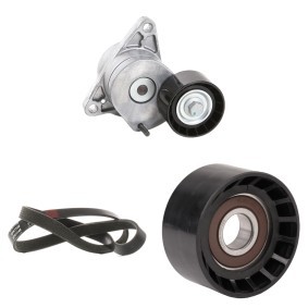 Comprar Juego de correas trapeciales poli V de RIDEX 542R0550 a bajo precio de 79,60 €