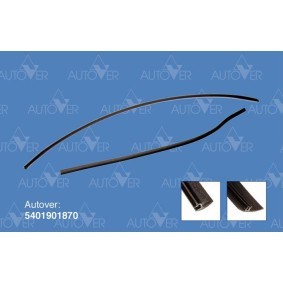 Zier- / Schutzleiste, Frontscheibe 5401901870 von SAINT-GOBAIN günstig für 25,13 € online kaufen