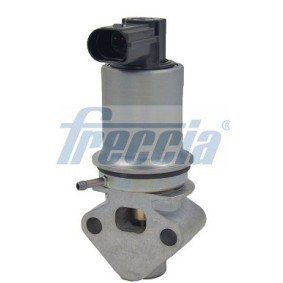 AGR-Ventil EGR12-138 von FRECCIA günstig für 84,10 € online kaufen