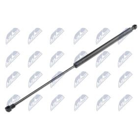 Acquista Ammortizzatore pneumatico cofano motore da NTY AE-CT-022 a buon mercato per soli 15,27 €