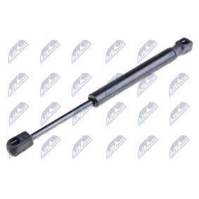 Acquista Ammortizzatore pneumatico cofano motore da NTY AE-FR-037 a buon mercato per soli 11,68 €
