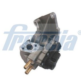 AGR-Ventil EGR12-195 von FRECCIA günstig für 124,07 € online kaufen