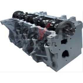 Zylinderkopf 093024600 von MEYER MOTOREN günstig für 957,77 € online kaufen