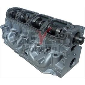 Zylinderkopf 093024670 von MEYER MOTOREN günstig für 1085,39 € online kaufen