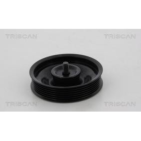 Umlenk- / Führungsrolle, Keilrippenriemen 8641 432003 von TRISCAN günstig für 62,11 € online kaufen
