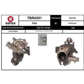 Comprar Turbocompresor de SNRA TBR0291 a bajo precio de 539,77 €